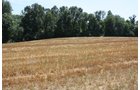 Property photo 9 - AUCTION POSTPONED